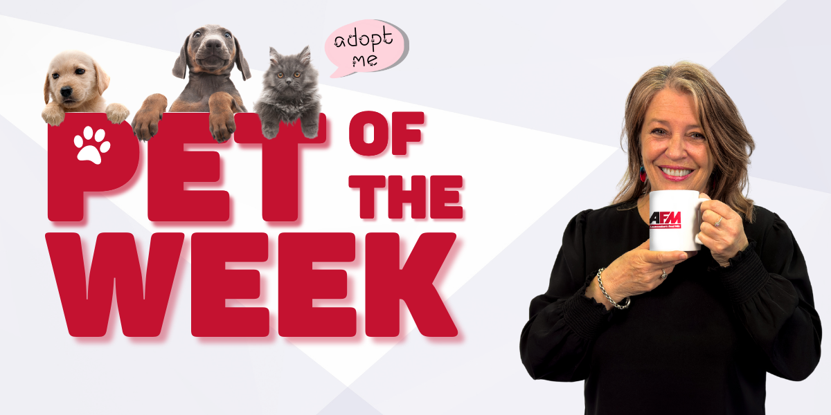 Pet of the Week - ongoing